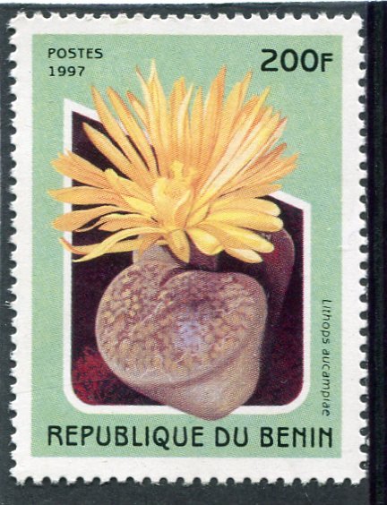 Benin 1997 PLANT CACTUS ORCHID 1 value Perforated Mint (NH)