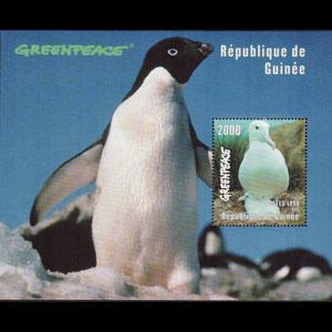 GUINEA 1998 - Scott# 1470 S/S Albatrosses NH