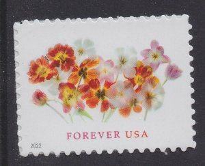 US 5681 Tulips forever single (1 stamp) MNH 2022 