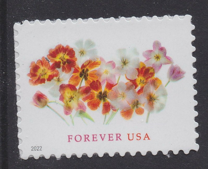 Tulips 2022, Discounted Forever Stamps