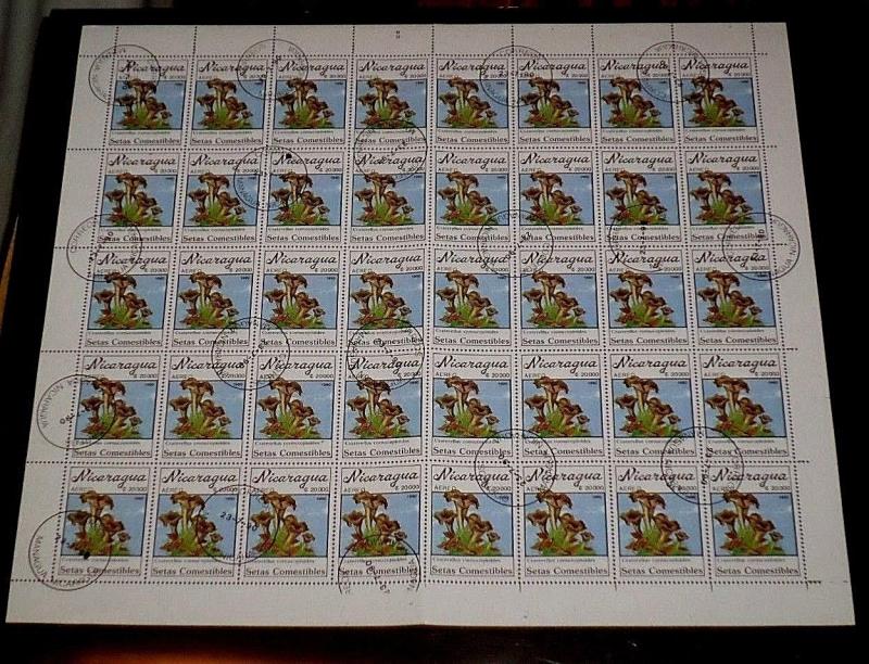 NICARAGUA,1990, MUSHROOMS, C$20000, SHEET/40, SCARCE!, CTO,#5 NICE! LQQK!