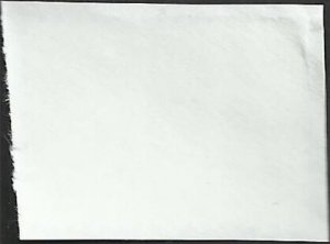 # 4459 USED BOSTON TERRIER