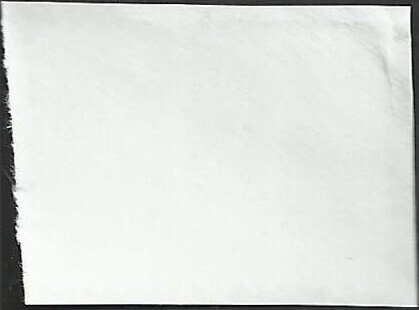 # 4459 USED BOSTON TERRIER