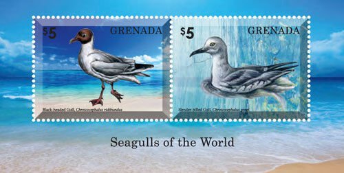 Grenada 2014 - Seagulls of the World - Souvenir Stamp Sheet - Scott #4013 - MNH