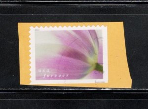 United States 2023 Sc#5782 Tulip Blossoms Used