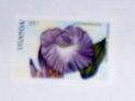 Uganda - 616, MNH. Flower. SCV - $0.80