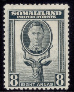 SOMALILAND PROTECTORATE GVI SG99, 8a grey, M MINT.