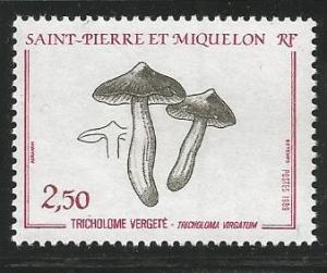 ST. PIERRE & MIQUELON 489, MNH STAMP,MUSHROOM, TRICHOLOMA VIRGATUM