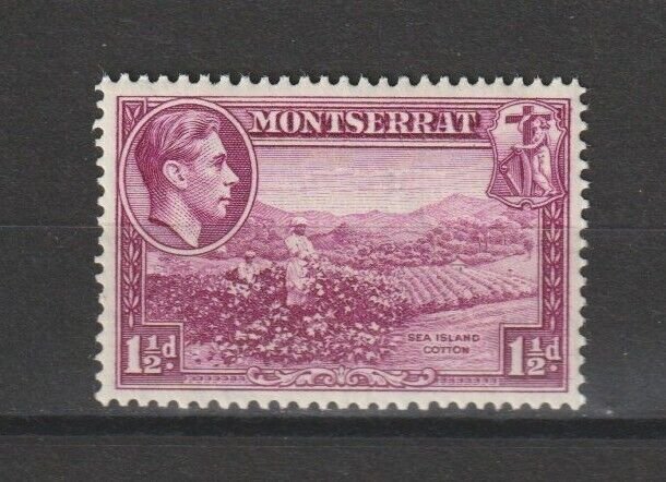 MONTSERRAT 1938/48 SG 103 MNH Cat £25