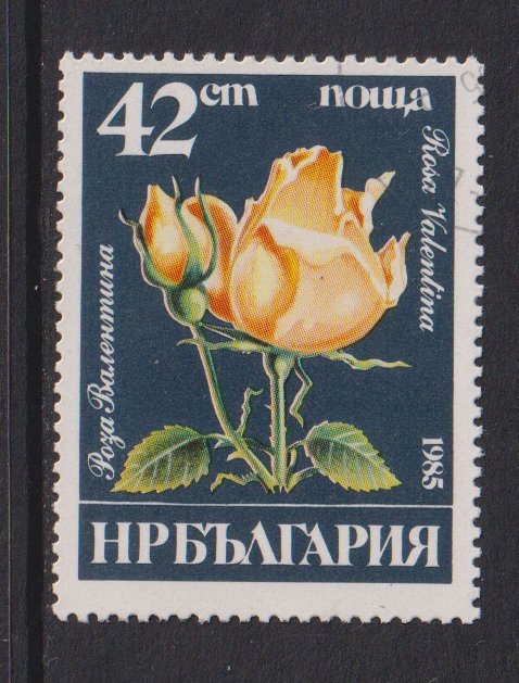 Bulgaria   #3079  cancelled  1985  roses  42s