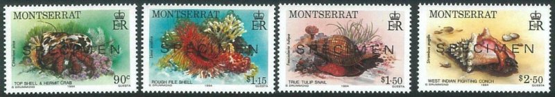 70723 -  MONTSERRAT - STAMP : SHELLES Crab 4 values MNH - Overprinted SPECIMEN 