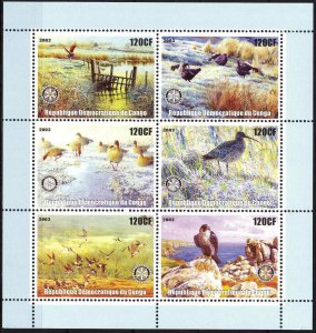 Congo 2003 Art Paintings Birds (2) Sheet of 6 MNH Private