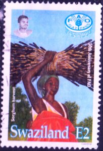 Swaziland  #647 Used