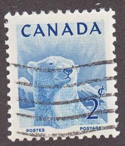 Polar Bear - Scott#  322