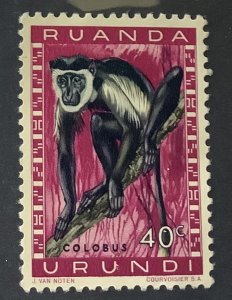 Ruanda-Urundi  1959 Scott 139 MNH - 40c,  Animals,  Colobus, Monkey