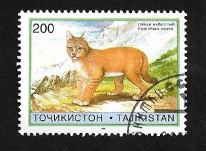 Tajikistan 1996 - FDI - Scott #96