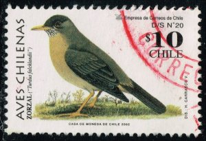 Chile #1385 Austral Thrush; Used