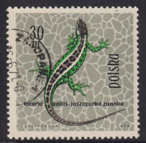 Poland 1134 Sand Lizard 1963