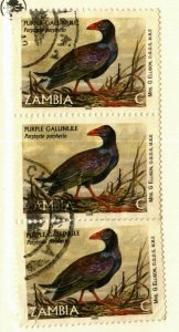 Zambia #841 3 copies Bird used