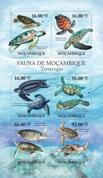 MOZAMBIQUE - 2011 - Turtles - Perf 6v Sheet - Mint Never Hinged