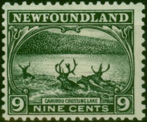 Newfoundland 1923 9c Slate-Green SG156 Good LMM