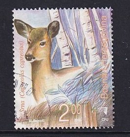 Bosnia and Herzegovina ( Bosniak )  #557  used  2006  wild animals 2m  deer