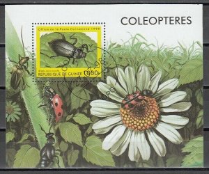 Guinea, 1998 issue. Beetle, Insect s/sheet. Canceled.