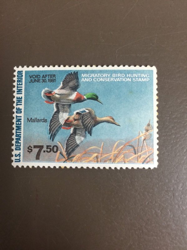 US RW47 Federal Duck Stamp - mint never hinged - very nice 1980 stamp