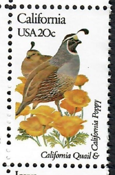 1957A California Birds and Flowers MNH single bullseye perf 11.25 x 11