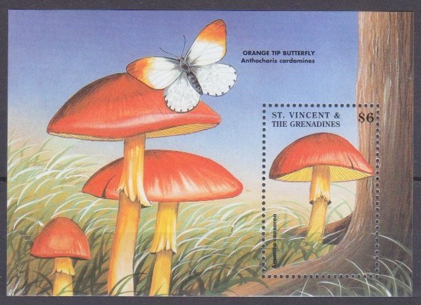 1998 St Vincent & Grenadines 4328/B448 Mushrooms 5,50 €