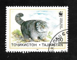 Tajikistan 1996 - FDI - Scott #93