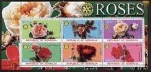 SOMALIA - 2002 - Roses #1 - Perf 6v Sheet - M N H - Private Issue