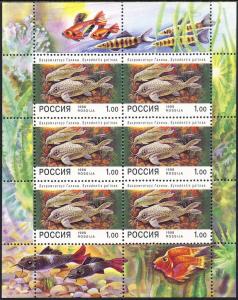Russia 1998 Sc 6443a Aquarium Fish Marine Life MS Stamp MNH