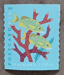 United States #5368 (35c) Staghorn Coral & Blue-striped Grunts coil MNH  (2019)