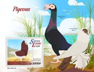 Sierra Leone - 2019 Pigeons on Stamps - Stamp Souvenir Sheet - SRL190413b