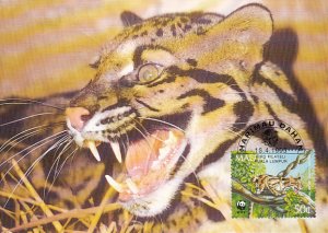 Malaysia 1995 Maxicard Sc #540 50c Clouded leopard WWF