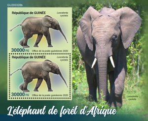 GUINEA - 2020 - African Forest Elephants - Perf Souv Sheet - Mint Never Hinged