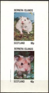 {B167} Bernera Scotland Mouses Sh. Imperf. MNH Cinderella !!