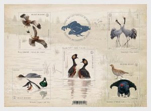 Belgium / België - Postfris/MNH - Sheet Birds 2024