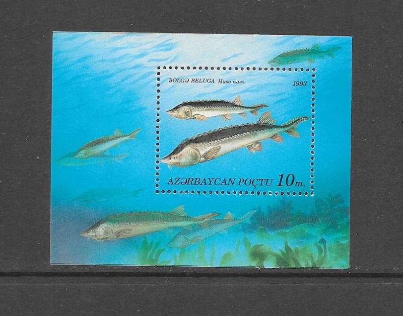 FISH - AZERBAIJAN #392  MNH