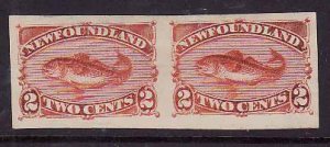 Newfoundland-Sc#48a- id7-unused hinged 2c red orange Imperforate pair-1880-96-