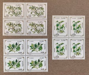 Algeria 1999 Flowering Trees in blocks of 4, MNH. Scott 1144-1146, CV $14.00