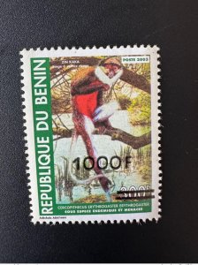 Benin 2007 Mi. 1415 Red Bellyed Monkey Zin Kaka Monkey Wildlife Overloaded MNH**-