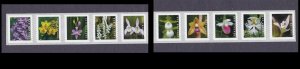 US Scott #5435-5444, 5444a Two Strips of 5 55c Wild Orchids (10 diff Stamps) 