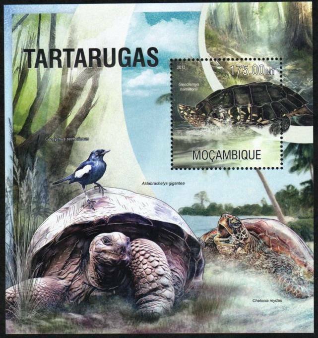 Mozambique Stamp 2943  - Turtles