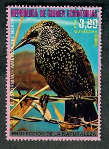 Equatorial Guinea Bird used CTO single from 1974