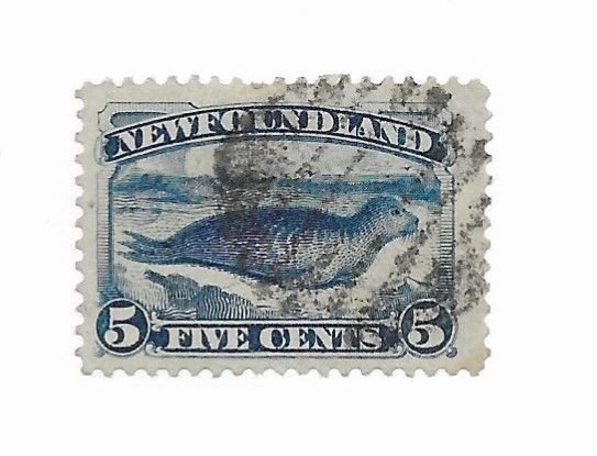 Newfoundland #54 MH - CAT VALUE $8.00