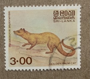 Sri Lanka 1983 3r Golden Palm Cat, used. Scott 729, CV $5.50. SG 781