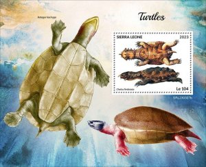 SIERRA LEONE - 2023 - Turtles - Perf Souv Sheet - Mint Never Hinged