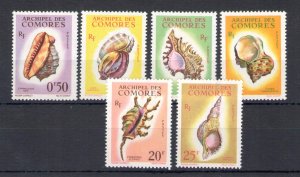 1962 Comoros - Yvert catalogue no. 19-24 - shells - 6 values - MNH**